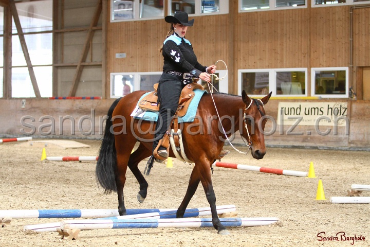 28-ApHC OT_344.jpg